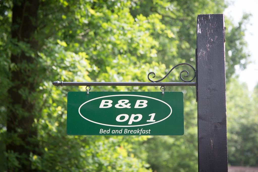 Bed & Breakfast Orvelte Zewnętrze zdjęcie